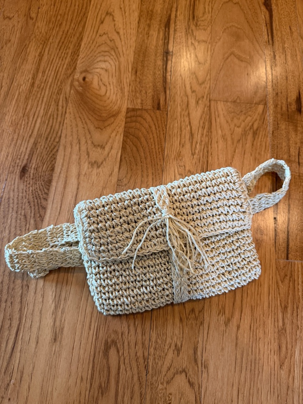 L Space Debby fanny/clutch